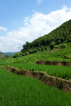 DSC09377