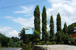 DSC09393