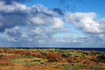 CAPE LEEUWIN, AUGUSTA7