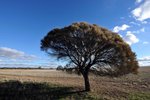 CORRIGIN1