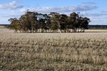 CORRIGIN2