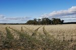 CORRIGIN3