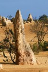 NAMBUNG NATIONAL PARK