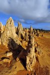 NAMBUNG NATIONAL PARK13