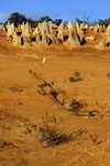 NAMBUNG NATIONAL PARK14