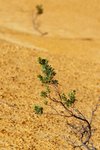 NAMBUNG NATIONAL PARK15