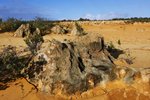 NAMBUNG NATIONAL PARK2
