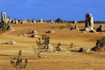 NAMBUNG NATIONAL PARK3
