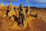 NAMBUNG NATIONAL PARK8