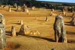 NAMBUNG NATIONAL PARK, CERVANTES