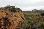 FRENCHMAN'S PEAK, ESPERANCE6