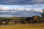 WINTER SKY IN WESTERN AUSTRALIA3