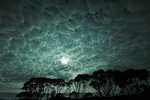WINTER SKY IN WESTERN AUSTRALIA5