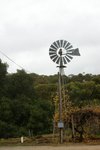 DSC00013