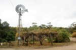 DSC00017
