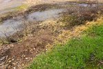 DSC00019