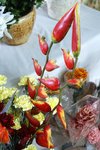 DSC09955