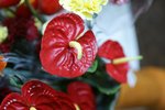 DSC09956
