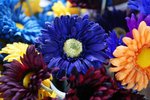 DSC09959