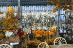 DSC09961