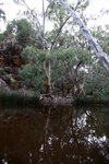 IMGP0866