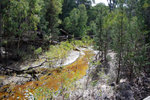 IMGP0927
