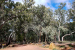 P1170978