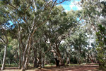 P1170980
