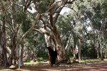 P1170981