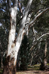 P1170984