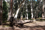 P1170985