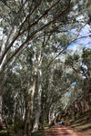P1170991