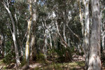 P1170994