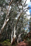 P1170995
