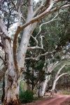 P1170999
