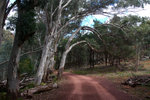 P1180002