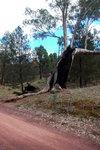 P1180010