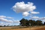 DSC09788