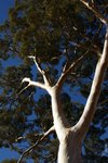 DSC09791