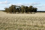 DSC09795