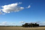 DSC09796