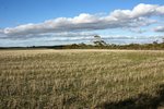 DSC09798