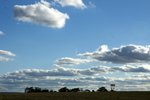 DSC09804