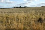 DSC09805