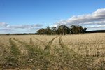 DSC09806