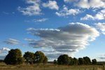 DSC09817