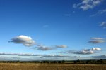 DSC09818