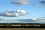 DSC09820