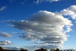 DSC09821