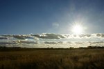 DSC09835
